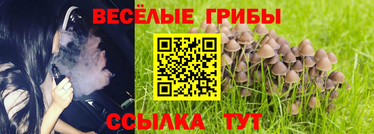 Галлюциногенные грибы Magic Shrooms  Вход с VPN  Кузнецк 